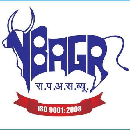 NBAGR logo