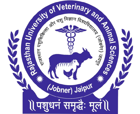 RUVAS logo